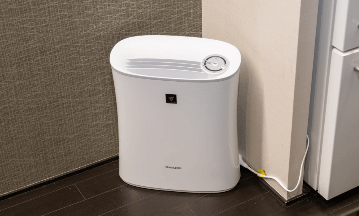 Air cleaner